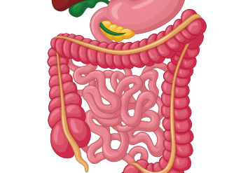 Functional bowel 